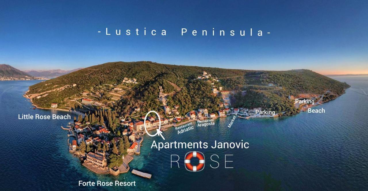 Rose - Apartmani Janovic ルスティサ エクステリア 写真